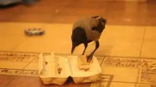 9minDestructor
