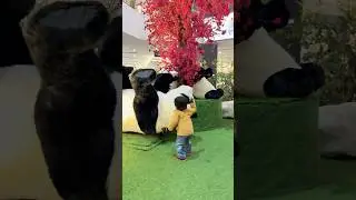 #brothersister #ytshort #shortvideo #indian #indai#ytshortsindia #shortsviral #play #cuteteddy #fish