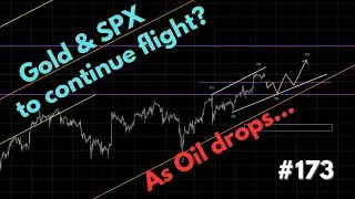 173. Gold & SPX to continue flight? | As Oil drops... | Trading Opportunities Webinar