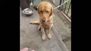 Cuando toca, toca!!. L&iacute;a, Dooster y Max.