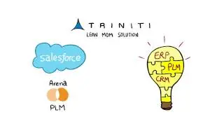 Oracle master data management - Lean software from Triniti