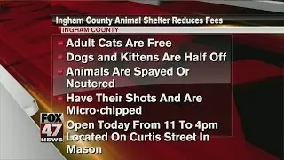Shelter reducing adoption fee