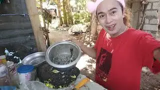 TORTANG LIBUD SUROY ( DILIS SA TAGALOG ) BARBIE RIDER