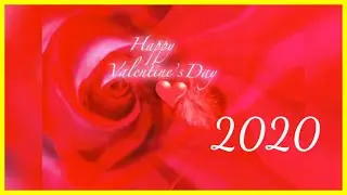Happy Valentine&rsquo;s Day 2020/Valentine Day WhatsApp Status /Valentine day Romantic WhatsApp Status
