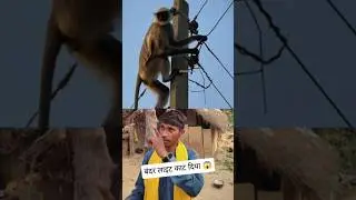 बंदर लाइट काट दिया 😱 | Funny Monkey Comedy Video 🤣 | SVH Vlog #shorts #youtubeshorts #viralvideo