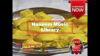 All in One background Music Library-No copyright music-Background Music For Vlog/Videos