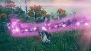Bastard's Stars PvP Showcase | Elden Ring Builds