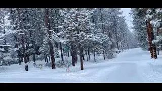 ❄️❄️Best SNOW!! of the Storm⛄️⛄️  Finally Coming Down Good and Accumulating. Best SNOW Drive 1/27/25