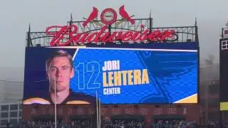 St. Louis Blues 3rd goal at the 2017 Winter Classic at Busch Stadium