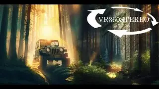 VR Journey a forest/VR 360 Stereo/Virtual reality