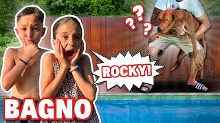 PRIMO BAGNO DI CANE ROCKY, RIUSCIREMO A PRENDERLO? FIGLIACHIARA SI TUFFA IN PISCINA!