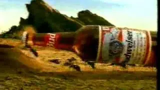 Рекламный ролик пива Budweiser