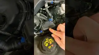 Boss 302 ford performance catch can update