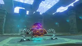 A minor test of strength. Legend of Zelda Breath of the Wild