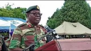 ZIM ARMY CRISIS 15+ DEAD in 2 YEARS! PURGE EXPOSED