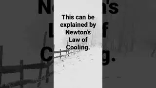 Newton's Law of Cooling | Conceptual Question | Heat