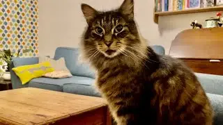 Eric thinks he&rsquo;s human (and other odd behaviour)