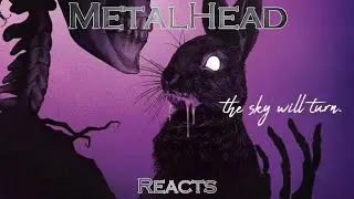 METALHEAD REACTS to 
