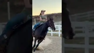 Pole bending practice💪🔥 #shorts #horses #MayDialFame #Godisgood #fypシ