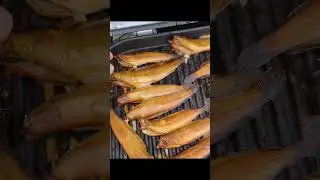 NINJA Wood fire  4in1. smoking 🐟 fish