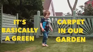 IT&rsquo;S BASICALLY A GREEN CARPET IN OUR GARDEN | THE IVYS