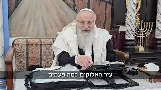 למה ירושלים מוזכרת יותר מ-1000 פעמים בתנ״ך | הרב שמואל אליהו | הלכה יומית | כ״ג אייר תשפ״ה