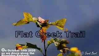 Flat Creek Trail