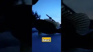 Eating Rock Bass is Only a WIN in Survival!