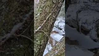 2026 winter storm walk