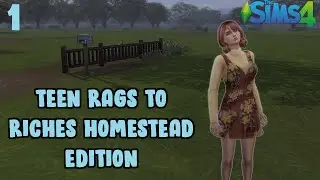 Sims 4 - Teen Rags to Riches Homestead Edition