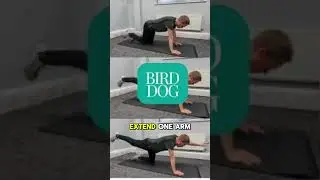 Beat Back Pain Forever! Smart Exercise for Men Over 40 &ndash; Bird Dog