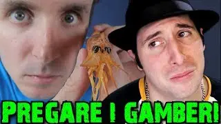MARCO TOGNI - LODE AL GAMBERO - PARODIA REACTION