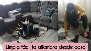 cómo limpiar la alfombra desde casa | #limpiezadelhogar #2023 #clanhogar