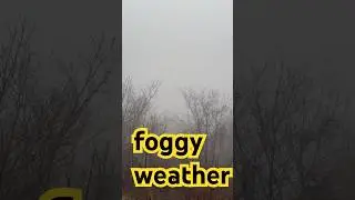 foggy weather
