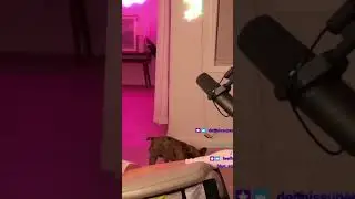 Tumble #skybri #skybriclips #funny #twitch #streamer