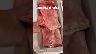Cooler full of venison meat #viral #shortvideos #huntingseason #viralvideos #shorts #hunting