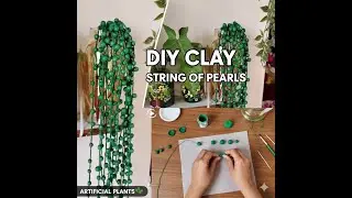 Realistic String of Pearls with Air Dry Clay Artificial Succulent Tutorial