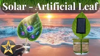 Solar-Powered &lsquo;Artificial Leaf&rsquo;: The Future of Clean Energy