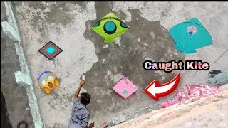 Caught Kite | How to Caught Kite With Trees 2022 | Kite Catch |