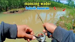 🍃mancing wader✅pakai joran travel ROD microfhising target wader cakul ‼️