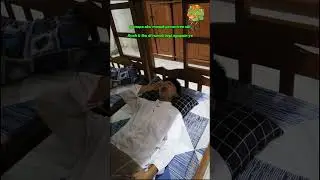 POV : Malam pertama santri baru #santri #funny #shortvideo