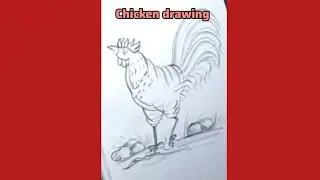 Rooster drawing, step by step. #art #trending #sketch #rooster 