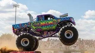 🐍🐉🕷️🦈 Animal Monster Trucks | Cobra Dragon Spider Shark Trucks for Kids 🚛