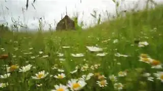 Explore Transylvania in a Private Guided Tour !