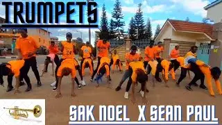 Sak Noel & Salvi ft. Sean Paul - Trumpets (Official Dance Video) by Newblyden Dance Crew Kenya