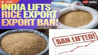 India Lifts Rice Export Ban: Impact on Prices & Inflation Explained!