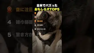 全米でバズった おもしろ犬TOP5
