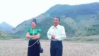 lò hạnh khắp lò thích lá po trái pi nong tỏn lé