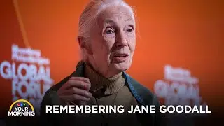 Jane Goodall Dead at Age 91, Montreal Shooting Linked to Organized Crime | Your Morning