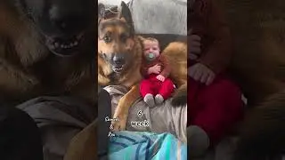 Baby boy and German Shepherd dog spend their first 9 weeks together!